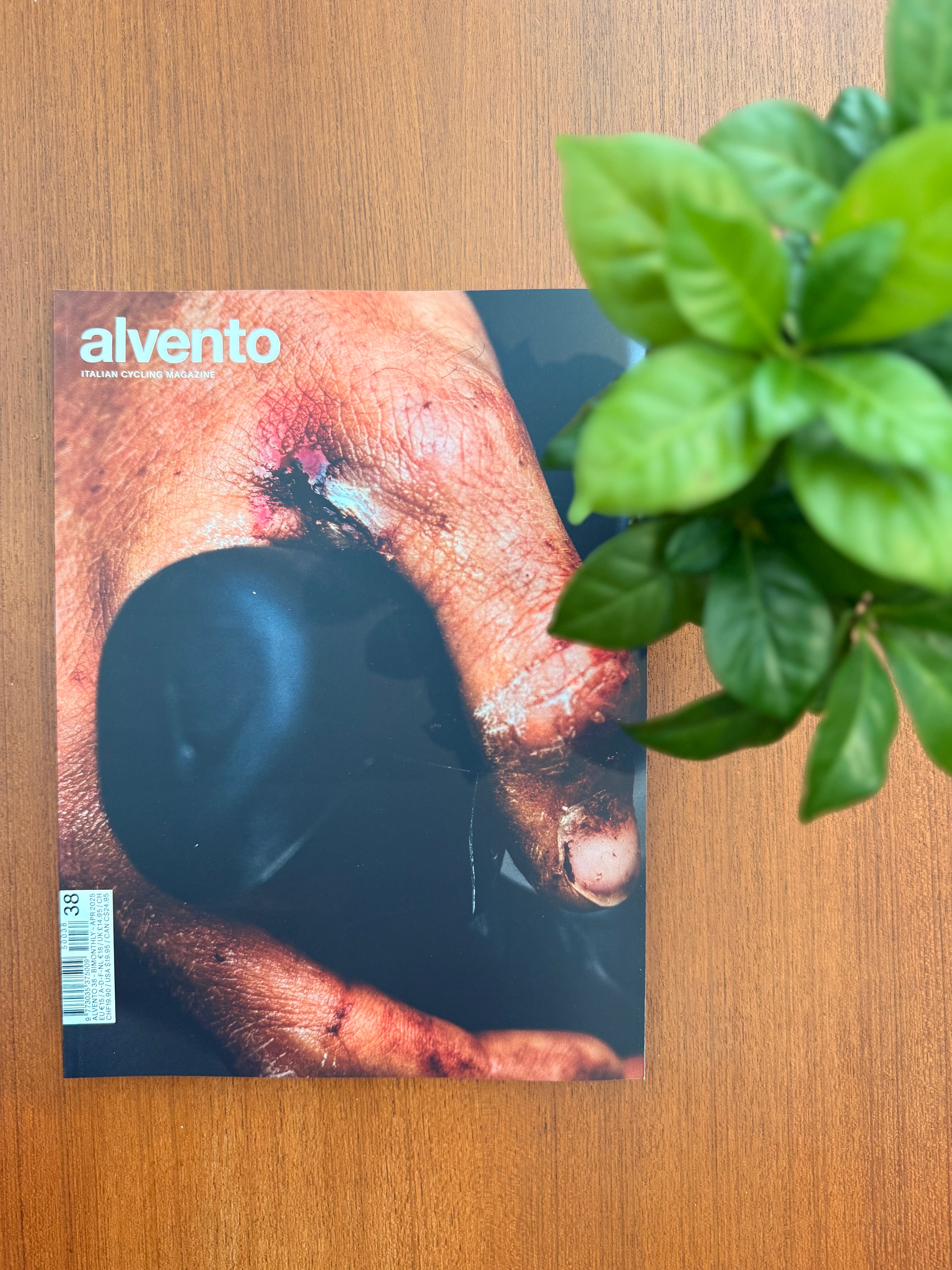 Alvento magazine - 38