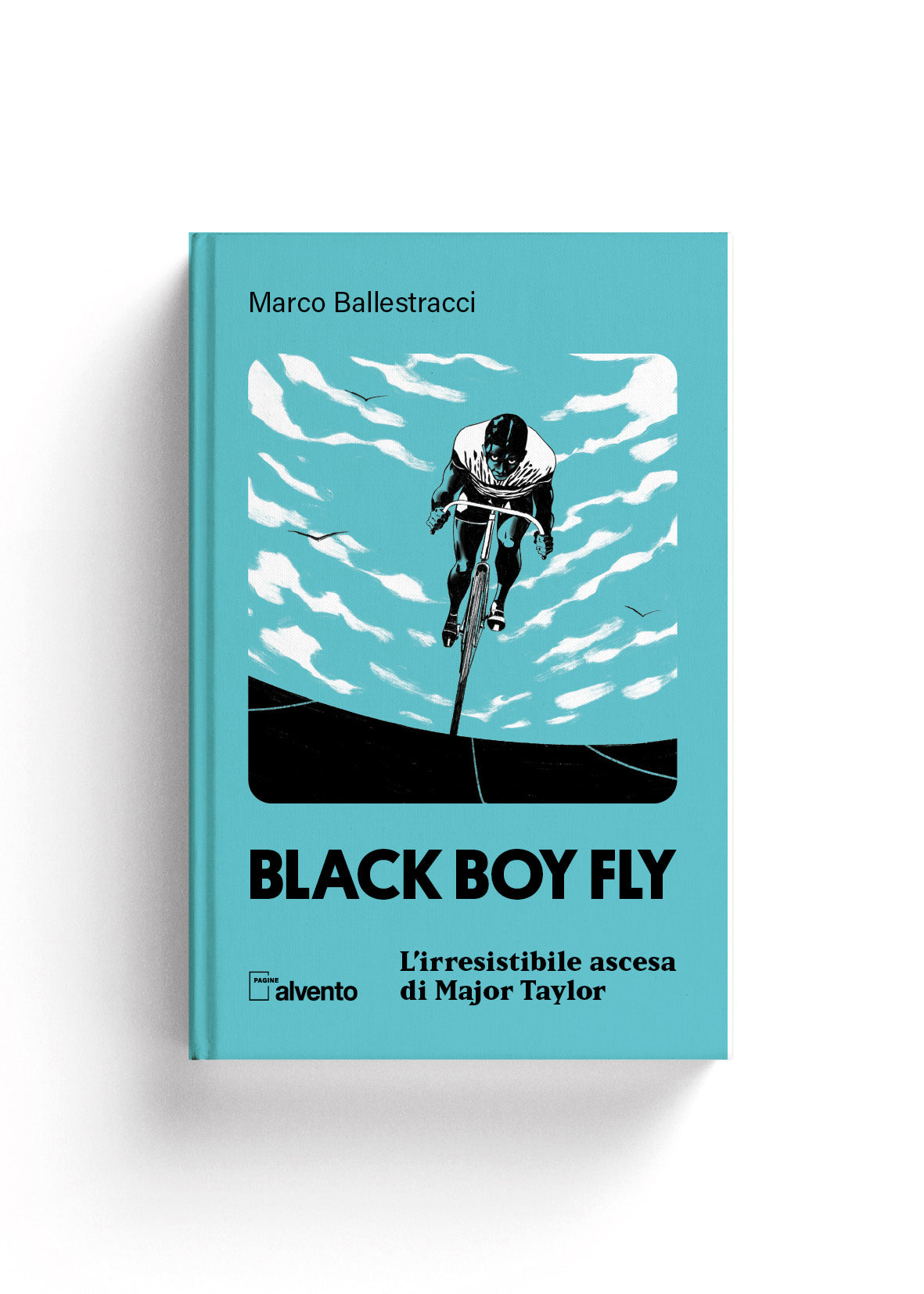 Black boy fly